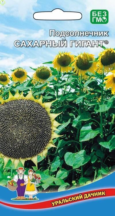 Купить оптом в Ботанике семена Подсолнечник Сахарный Гигант УД бренд Уральский дачник