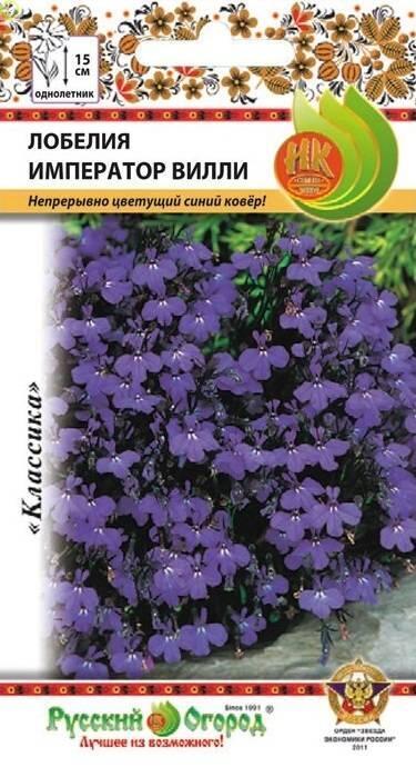 Купить оптом в Ботанике семена Лобелия Император Вилли НК бренд НК