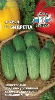 Купить оптом в Ботанике семена Огурец Бидретта F1 Сед бренд СеДеК