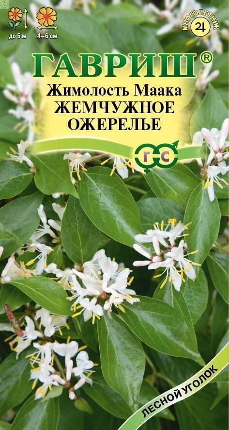 Купить оптом в Ботанике семена Жимолость Маака Жемчужное ожерелье Гав бренд Гавриш