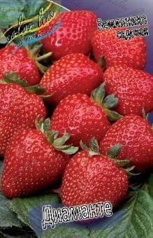 Купить оптом в Ботанике Земляника садовая Диаманте 5 шт