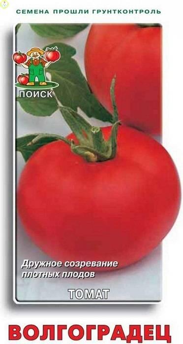 Купить оптом в Ботанике семена Томат Волгоградец Поиск бренд Поиск