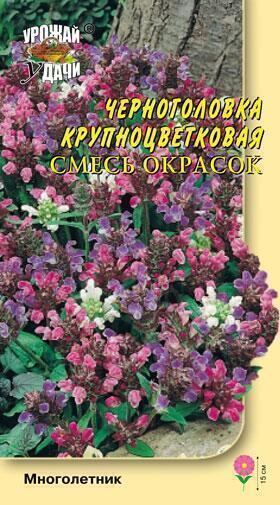 Купить оптом в Ботанике семена Черноголовка (прунелла) смесь УУ бренд Урожай Удачи