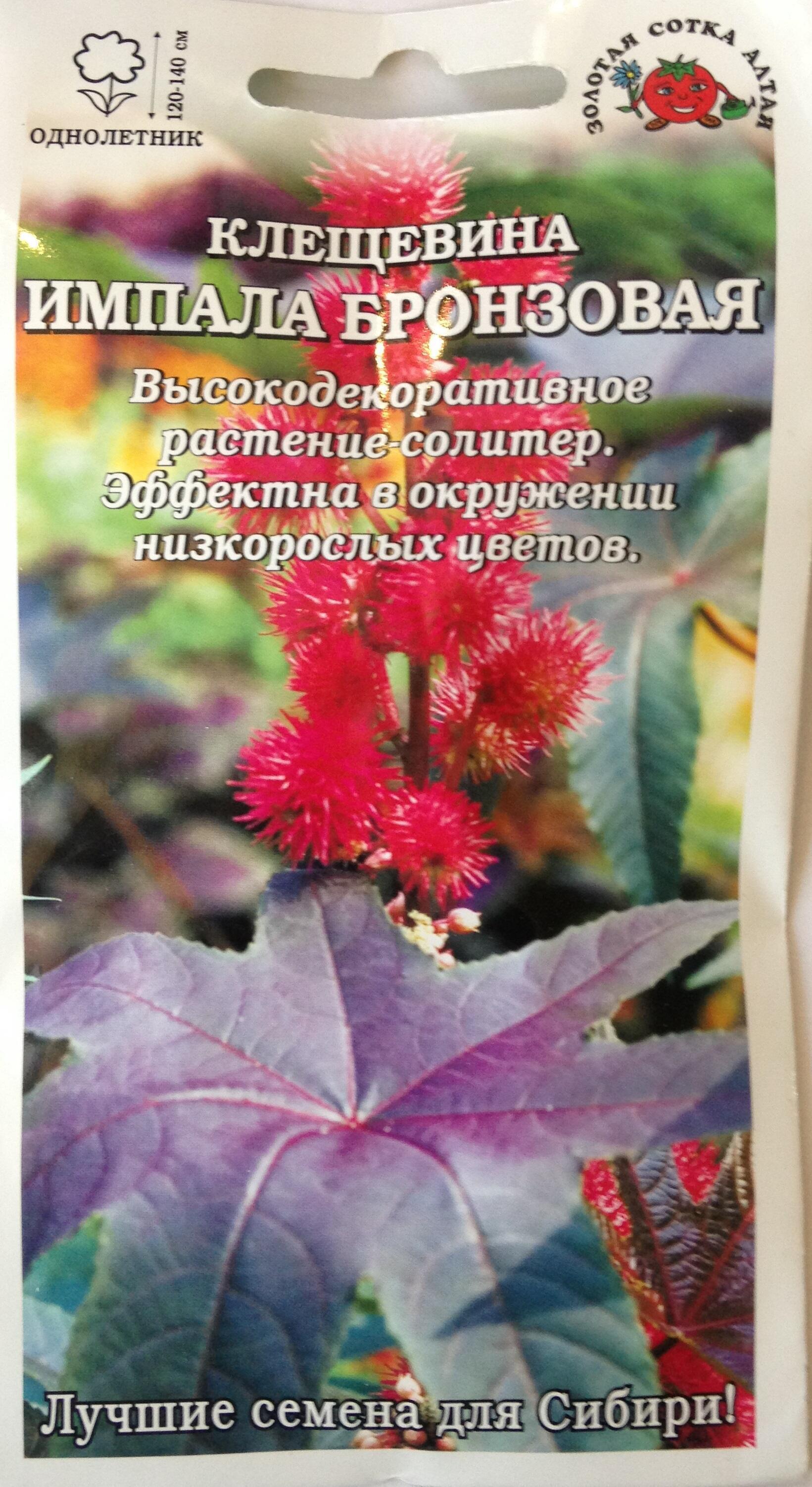 Купить оптом в Ботанике семена Клещевина Импала Бронзовая ЗС бренд Золотая сотка