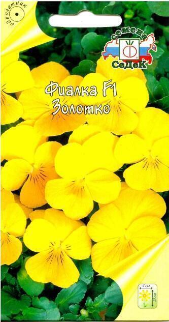 Купить оптом в Ботанике семена Фиалка Золотко Сед бренд СеДеК