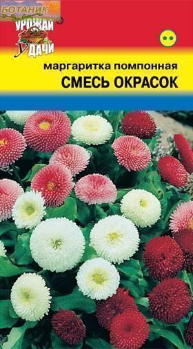 Купить оптом в Ботанике семена Маргаритка Смесь окрасок УУ бренд Урожай Удачи