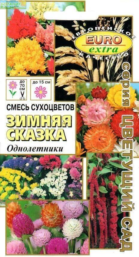 Купить оптом в Ботанике семена Смесь Зимняя сказка сухоцветы Аэл бренд Аэлита