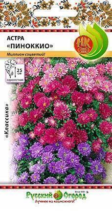 Купить оптом в Ботанике семена Астра Пиноккио смесь НК бренд НК