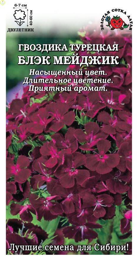 Купить оптом в Ботанике семена Гвоздика турецкая Блек Мейджик ЗС бренд Золотая сотка