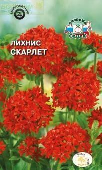 Купить оптом в Ботанике семена Лихнис Скарлет халцедонский Сед бренд СеДеК