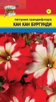 Купить оптом в Ботанике семена Петуния Кан Кан Бупгунди УУ бренд Урожай Удачи