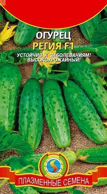 Купить оптом в Ботанике семена Огурец Регия F1 Плз бренд Плазмас