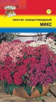 Купить оптом в Ботанике семена Пентас Ланцетовидный микс* УУ бренд Урожай Удачи