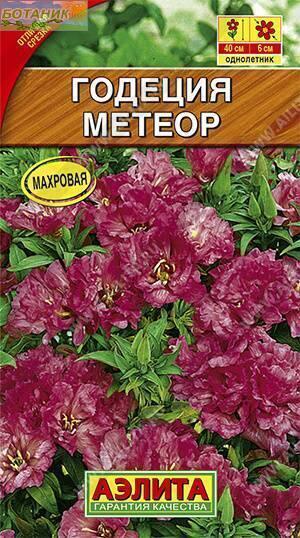 Купить оптом в Ботанике семена Годеция Метеор крупноцветковая Аэл бренд Аэлита