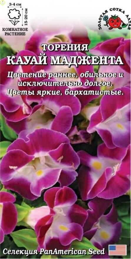 Купить оптом в Ботанике семена Торения Кауай Маджента ЗС бренд Золотая сотка
