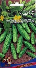 Купить оптом в Ботанике семена Огурец Водолей УД бренд Уральский дачник