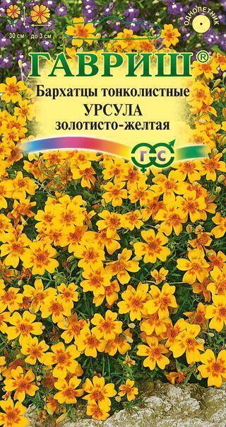 Купить оптом в Ботанике семена Бархатцы Урсула золотисто-желтая Гав бренд Гавриш