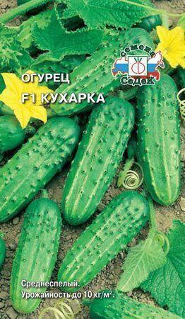 Купить оптом в Ботанике семена Огурец Кухарка F1 Сед бренд СеДеК
