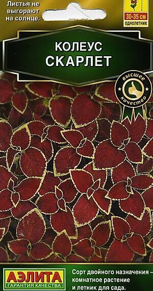 Купить оптом в Ботанике семена Колеус блюме Скарлет Аэл бренд Аэлита