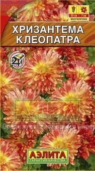 Купить оптом в Ботанике семена Хризантема Клеопатра Аэл бренд Аэлита