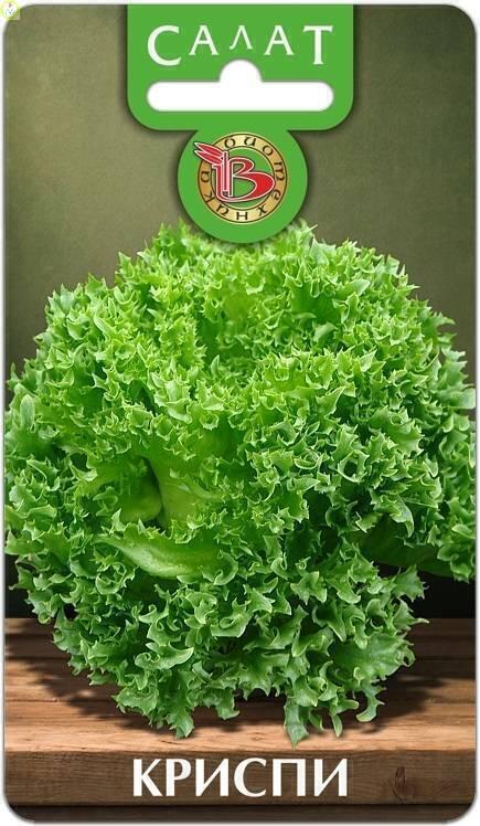 Купить оптом в Ботанике семена Салат Криспи Био бренд Биотехника