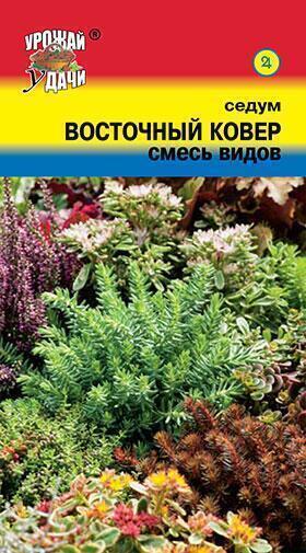 Купить оптом в Ботанике семена Седум Восточный ковер УУ бренд Урожай Удачи