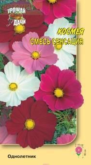 Купить оптом в Ботанике семена Космея Сенсация смесь* УУ бренд Урожай Удачи