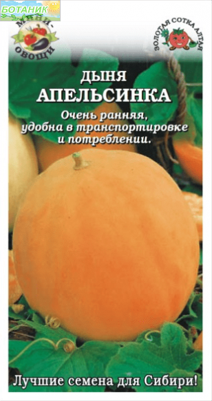 Купить оптом в Ботанике семена Дыня Апельсинка ЗС бренд Золотая сотка