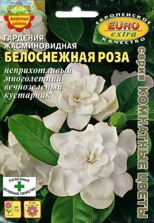 Купить оптом в Ботанике семена Гардения Белоснежная роза Аэл бренд Аэлита