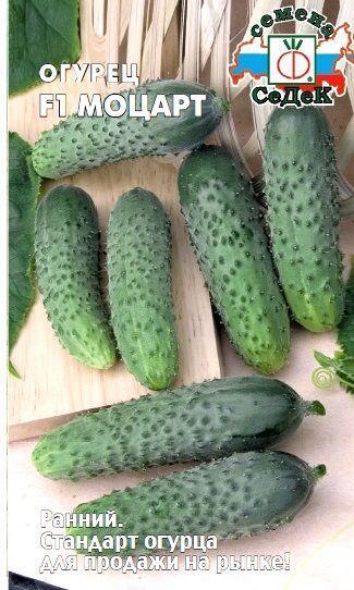 Купить оптом в Ботанике семена Огурец Моцарт F1 Сед бренд СеДеК