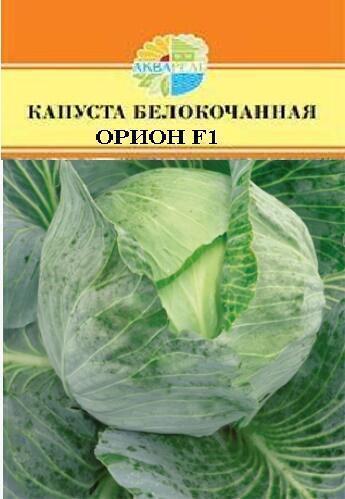 Купить оптом в Ботанике семена Капуста белокочанная Орион F1 Акв бренд Акварель