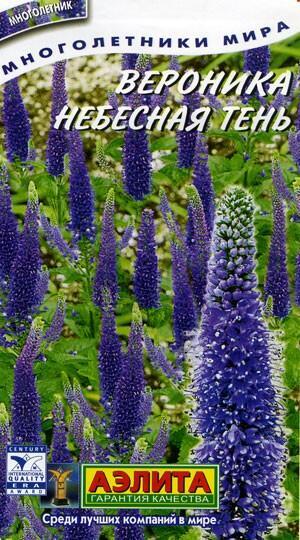Купить оптом в Ботанике семена Вероника Небесная тень Аэл бренд Аэлита