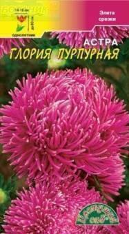 Купить оптом в Ботанике семена Астра Глория пурпурная ЦС бренд Цветущий Сад