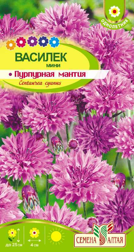 Купить оптом в Ботанике семена Василек Пурпурная мантия мини СА бренд Семена Алтая