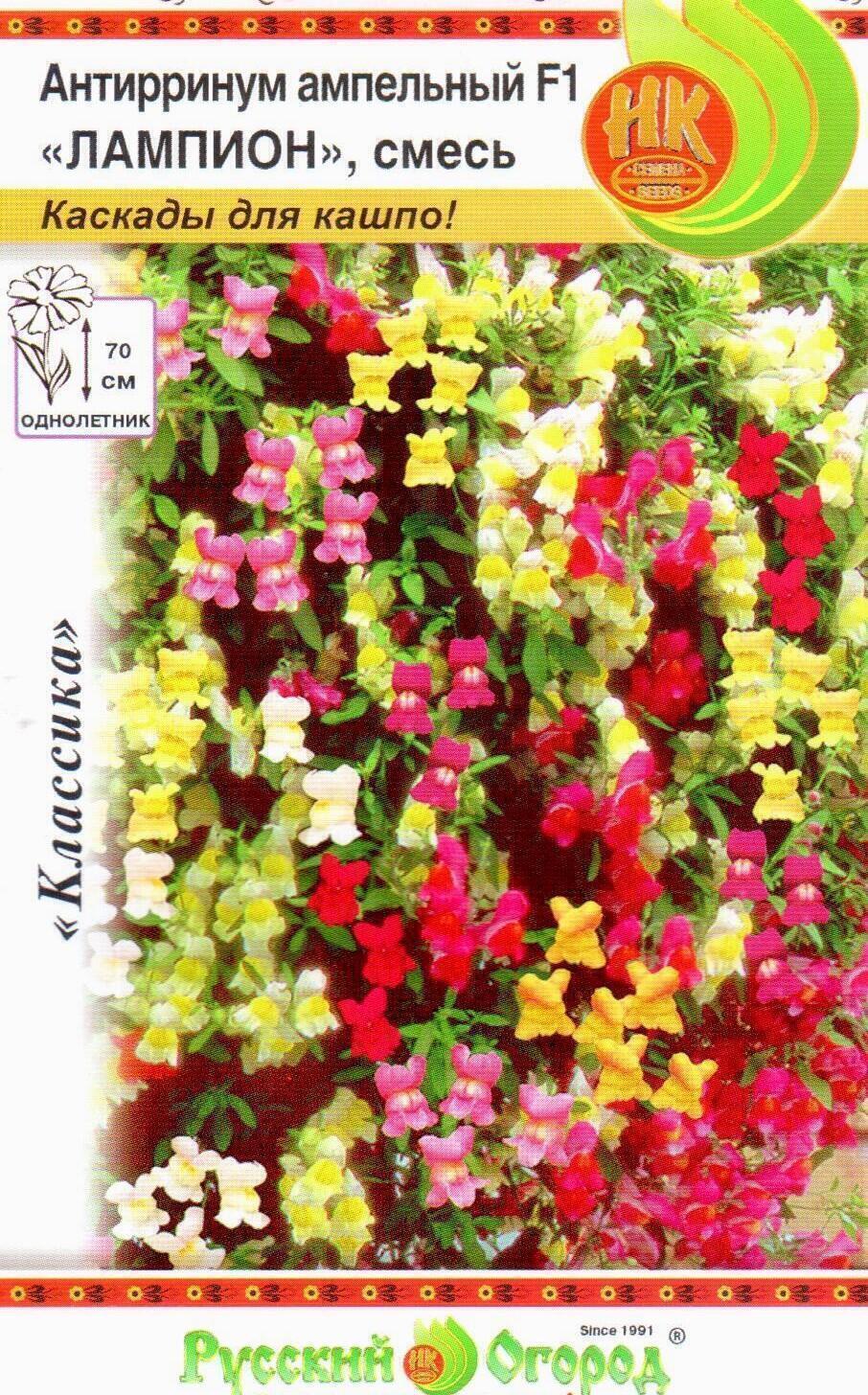 Купить оптом в Ботанике семена Антирринум Лампион ампельный F1 НК бренд НК