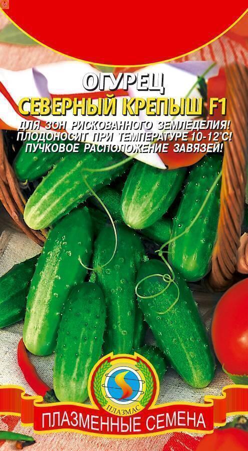Купить оптом в Ботанике семена Огурец Северный крепыш F1 Плз бренд Плазмас