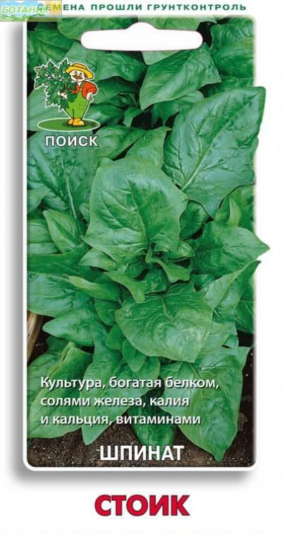 Купить оптом в Ботанике семена Шпинат Стоик Поиск бренд Поиск