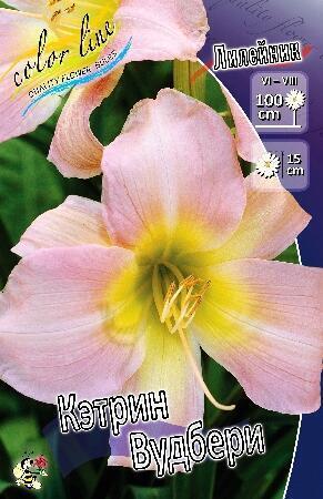 Купить оптом в Ботанике Лилейник Кетрин Вудбери 1 шт