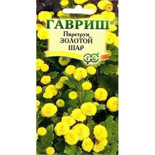 Купить оптом в Ботанике семена Пиретрум Золотой шар Гав бренд Гавриш