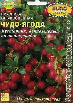 Купить оптом в Ботанике семена Брусника Чудо-ягода обыкновенная Аэл бренд Аэлита