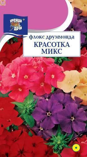 Купить оптом в Ботанике семена Флокс Красотка Микс УУ бренд Урожай Удачи