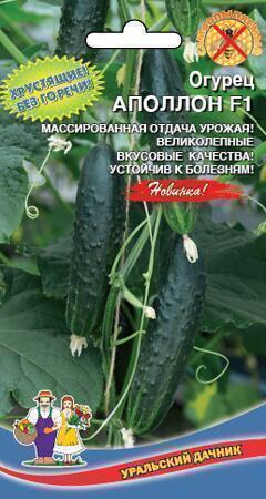 Купить оптом в Ботанике семена Огурец Апполон F1 УД бренд Уральский дачник
