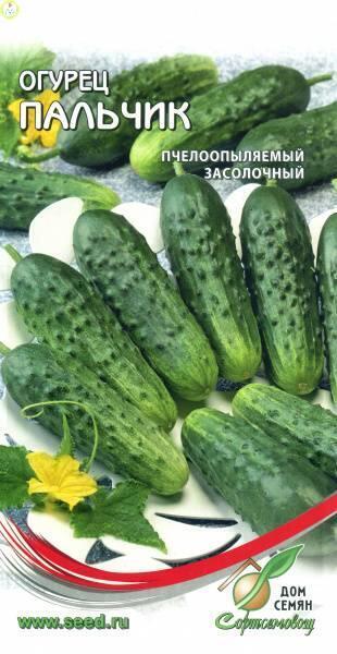 Купить оптом в Ботанике семена Огурец Пальчик ССО бренд Сортсемовощ