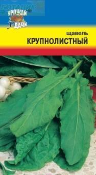 Купить оптом в Ботанике семена Щавель Крупнолистный УУ бренд Урожай Удачи