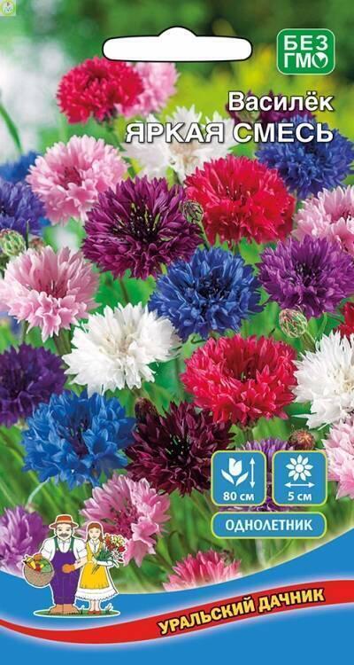 Купить оптом в Ботанике семена Василек Яркая смесь УД бренд Уральский дачник