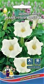 Семена Дурман Каменный цветок