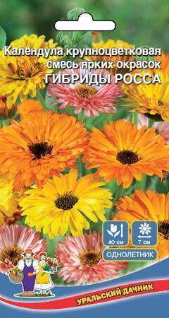 Купить оптом в Ботанике семена Календула Гибриды росса УД бренд Уральский дачник