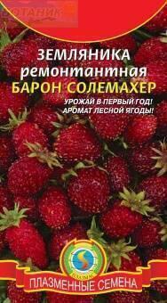 Купить оптом в Ботанике семена Земляника Барон Солемахер Плз бренд Плазмас