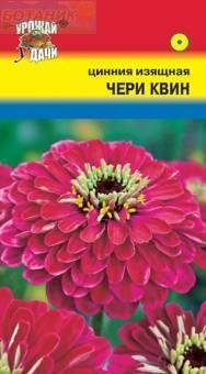 Купить оптом в Ботанике семена Цинния Черри Квин УУ бренд Урожай Удачи