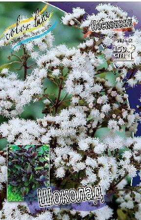 Купить оптом в Ботанике Посконник Шоколад 1 шт